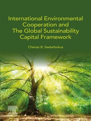 cover image of International Environmental Cooperation and the Global Sustainability Capital Framework